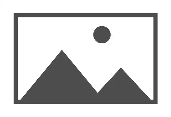 DEMO: AVator's Automotive Solution 5 team photo